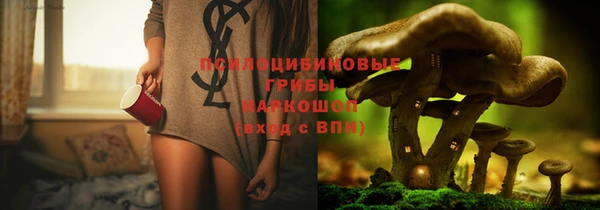 прущие крисы Абдулино