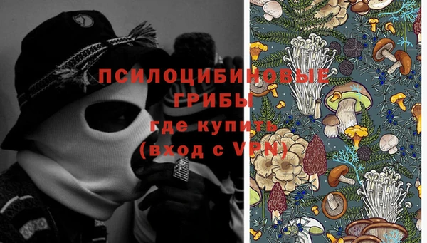 экстази Краснослободск