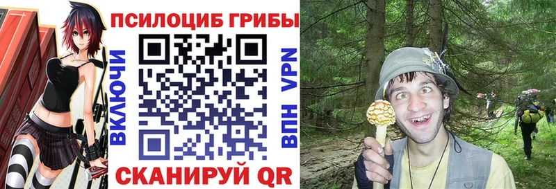 Псилоцибиновые грибы Magic Shrooms  Дивногорск 