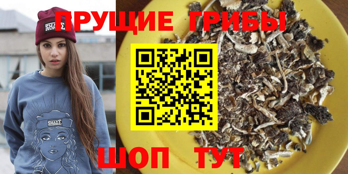 Галлюциногенные грибы Magic Shrooms Дивногорск