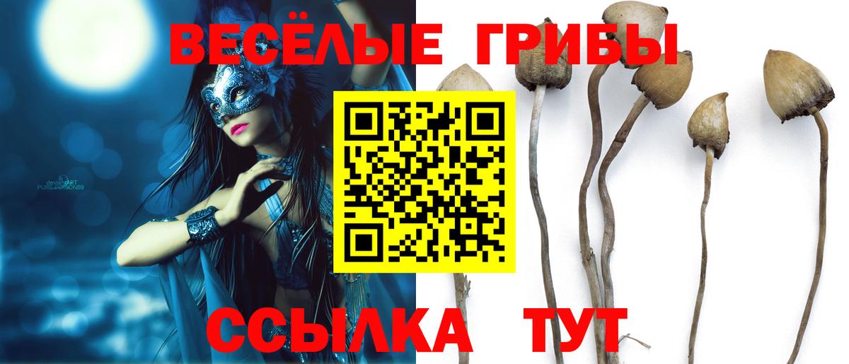Дивногорск  закладки  Вход с VPN  Галлюциногенные грибы ЛСД 